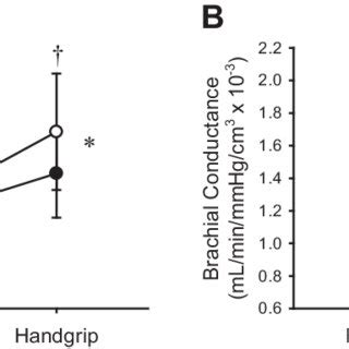 Effect of the low-dose dopamine infusion at rest on cardiac index (A),... | Download Scientific ...