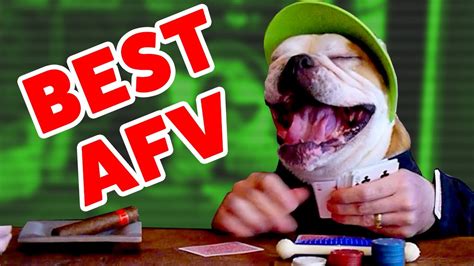 ☺ AFV (NEW!) Stupid Stunts & Funniest Moments of 2016 (Funny Clips Fail ...