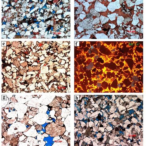 Thin Section Cl And Sem Images Showing The Diagenesis Type And Degree Download Scientific