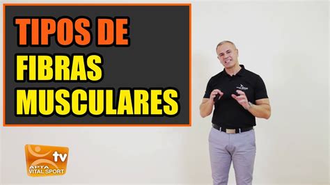 Fibras Musculares Tipos Lentas Y R Pidas Blancas Y Rojas Tipo