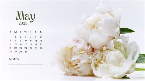 Top More Than 79 May Desktop Wallpaper Best Vn