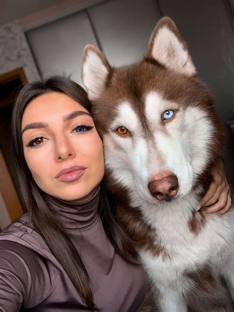 Разный цвет глаз Sled Dogs Dog Sledding Husky Dog Cat Cats Animals