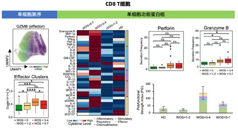 5分钟读cell：教你学习单细胞测序结果验证的新方法 知乎