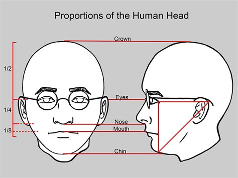 Examples Of Proportion In Art