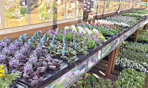 Carpenders Park Garden Centre In Watford Hertfordshire Groupon