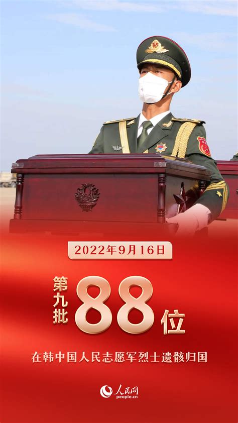 山河无恙 英雄回家｜连续九年，913位在韩中国人民志愿军烈士遗骸归国 军事 人民网