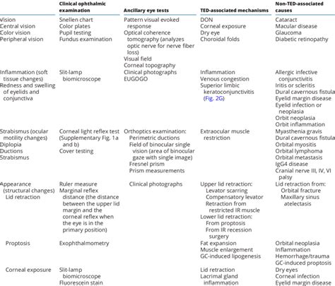 Formal Ophthalmic Examination For Thyroid Eye Disease Based On Vision