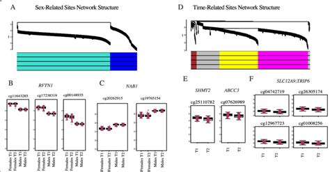 Network Structure And Example Hub Cpg Patterns From Sex And Download Scientific Diagram