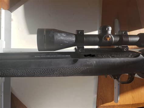 Scope Recommendation For Ruger 1022 Shooters Forum