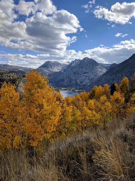 FALL COLORS – Visit June Lake Loop