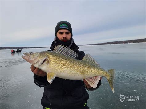 Fishing In Alberta The Complete Guide
