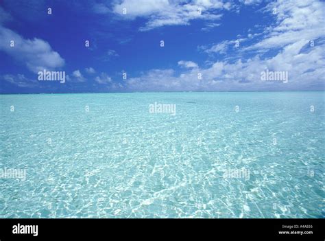 Shallow Ocean Water And Blue Sky Maldives Indian Ocean Stock Photo Alamy
