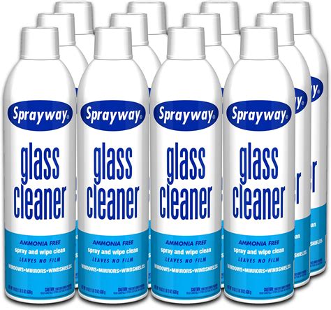 Sprayway Stainless Steel Cleaner 15oz Can Pack Of 2 841 Health And Household