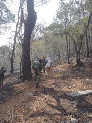 Contin A Combate Del Incendio En El Ca N Del Novillo La Prensa