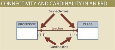 Chapter Entity Relationship Er Modelling Flashcards Quizlet