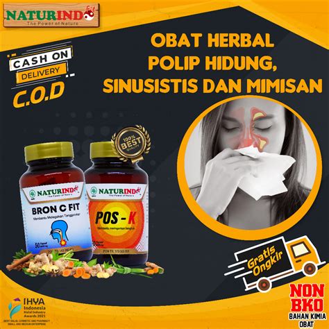 Jual Obat Sinusitis Polip Hidung Herbal Alami Naturindo Bron C Fit