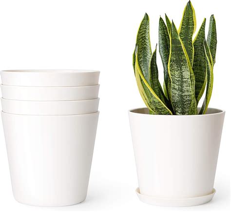 Indoor Plant Pots Uk Delivery - Indoor Plant Pot Etsy / Find the ...