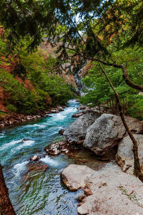 Premium Photo | Rocky mountains river beautiful scenery