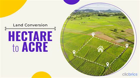 Convert Hectare To Acre Formula Calculation Conversion Table😢