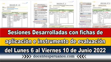 Sesiones Desarrolladas Con Fichas De Aplicaci N E Instrumento De