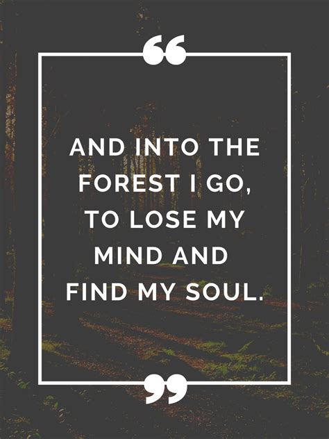 55 Beautiful Outdoor Quotes To Make You Want To Go Outside Happily
