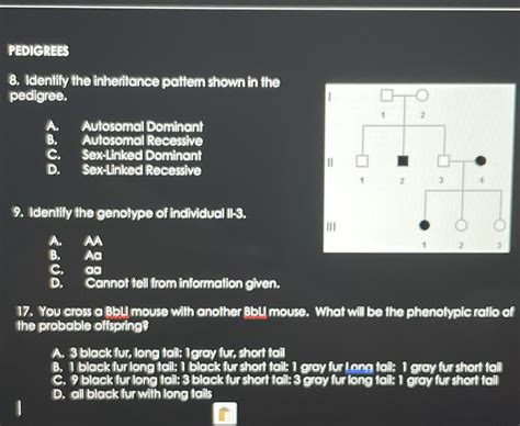 Solved PEDIGREES 8 Identify The Inheritance Pattern Shown In The