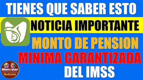 💥🌟informacion Importante🔔este Es El Monto De Pensión Minima Garantizada