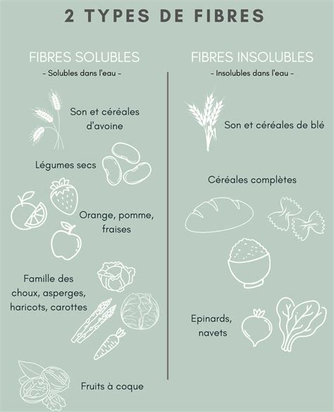 Les Fibres Alimentaires Sous La Loupe