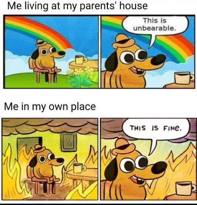 This Is Fine – MEME.COM BLOG