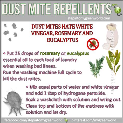 kill dust mites | Allergies, Allergy remedies, Essential oils