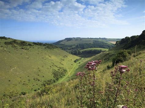 £2m Grant To Restore Nature Rich Chalk Grassland On South Downs Announced Guernsey Press