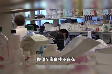 Y染色体逐渐消失，500万年后男性可能灭绝，人类将如何繁衍？ 男性 染色体 人类