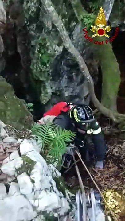 Cane Finisce In Una Voragine Profonda Metri Salvato Dai Vigili Del