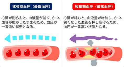 130台を超えたら、血圧高め！知っておきたい血圧を高める原因と、そのリスク