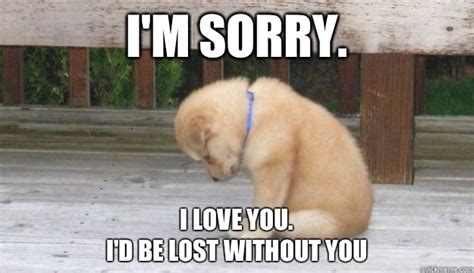 Im Sorry I Love You Id Be Lost Without You Sorry Puppy Quickmeme