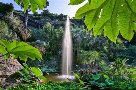 Tour Privado Aos Jardins Mortella Fonte Nitrodi Castelo Aragon S