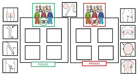 Partes del cuerpo públicas y privadas worksheet Partes del cuerpo