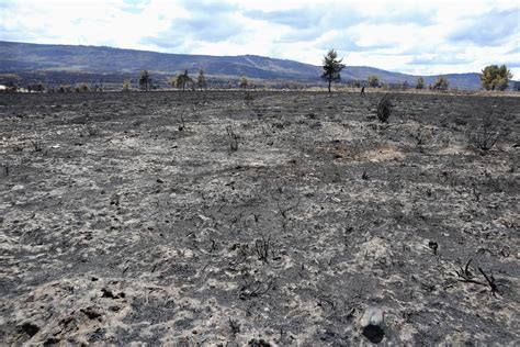 Fotos As Se Encuentra La Sierra De La Culebra Zamora Tras El Paso