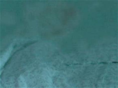 HELENE BERGSHOLM Nude AZNude