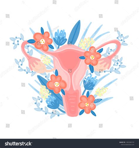 Female Reproductive System Flowers Anatomy Gynecology Stock Vector