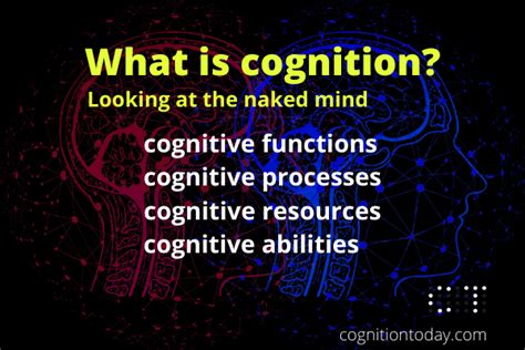 Cognition Executive Functions Cognitive Processes Abilities