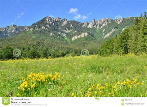 Beautiful Mountain Meadow Stock Photo Image Of Mountains 94519346