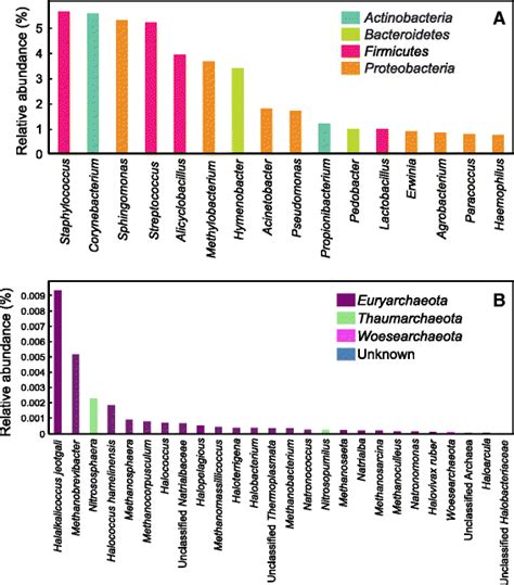 The Relative Abundance Of The Most Prevalent Bacterial And Archaeal