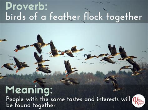 Idiom Proverb Birds Of A Feather Flock Together Academia De Ingles