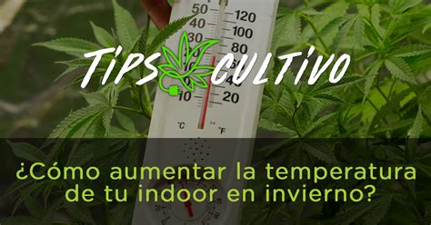 Cómo aumentar la temperatura de tu indoor en invierno Andinotech cl