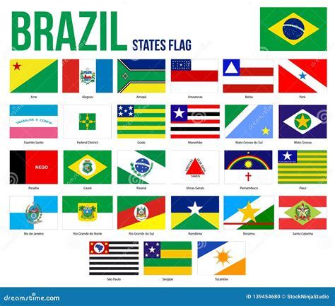 Brazil States Flag Collection Vector Illustration in Official Colors ...