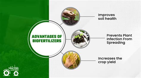 Biofertilizers Definition Types Of Biofertilizers And Its Benefits