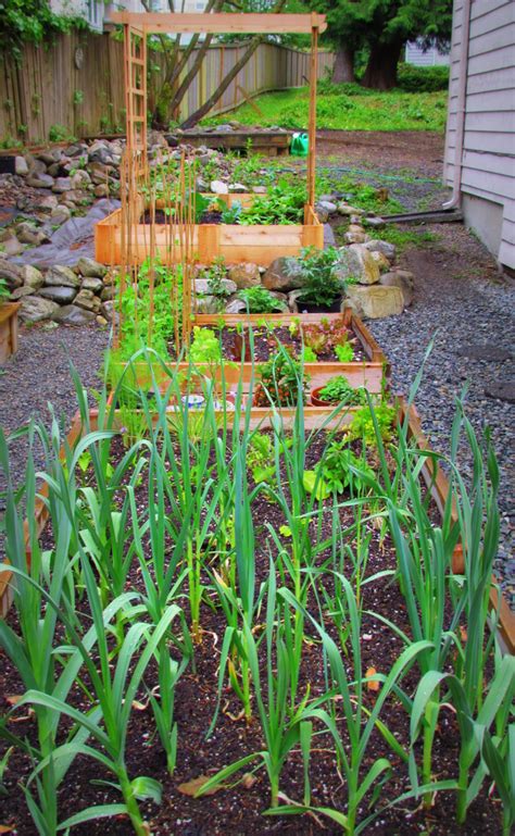 Learn To Grow Organic Garden Update By Learn To Grow