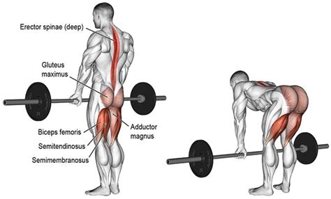 Tung Nh Bikini Qu Nh Th Khoe Th Nh T Ch Gi M C N Ng N