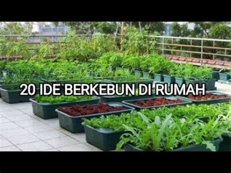 20 Ide Berkebun Di Pekarangan Rumah YouTube